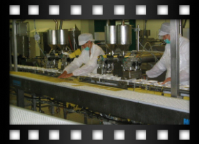 Linea lasagne precotte - Moriondo impianti e macchine per paste cotte fresche e piatti pronti